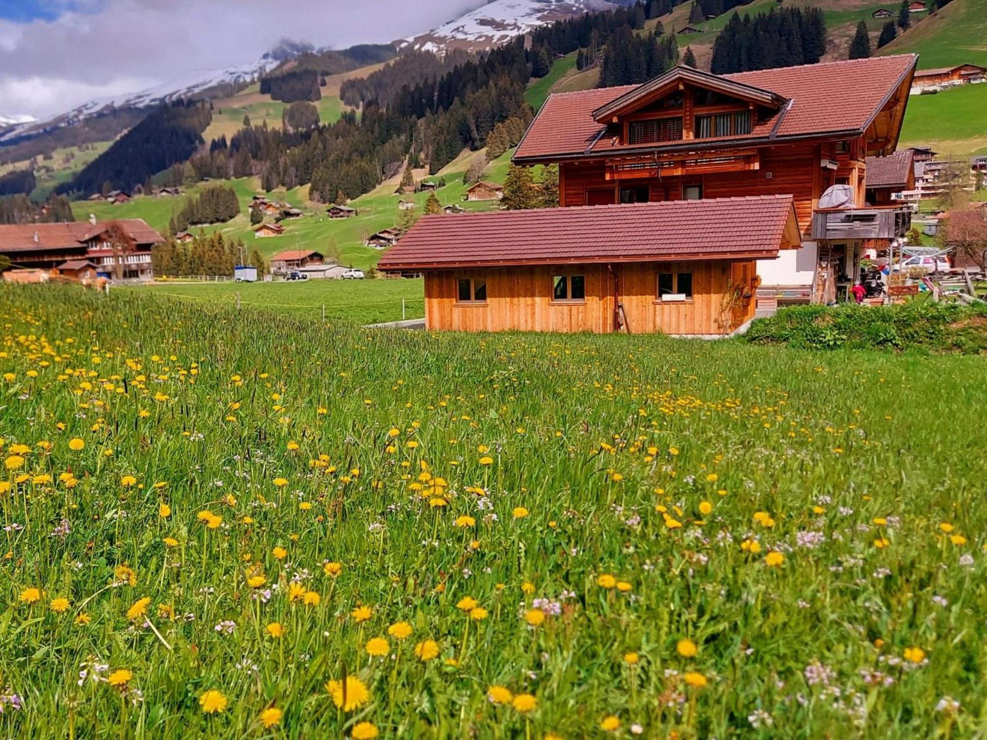 Apartment Laerchehuus By Interhome Adelboden Exterior photo